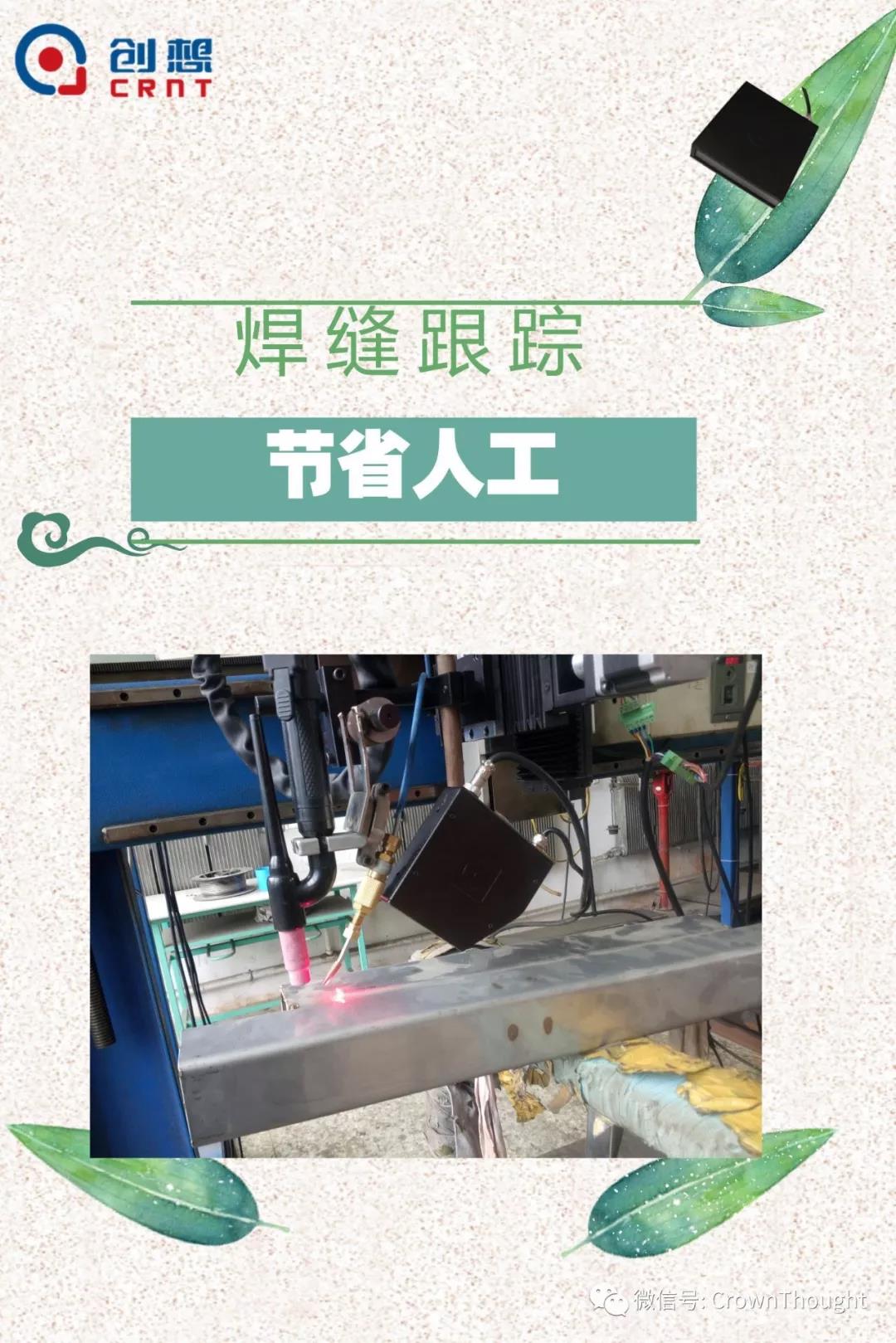 粽葉帶來的不僅僅是粽子，還有...